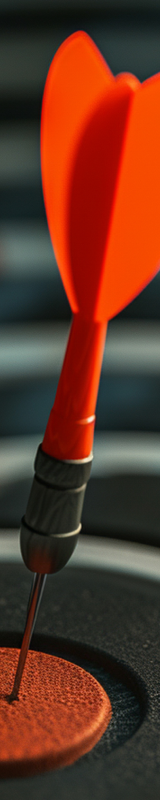 Business Analysis (2)